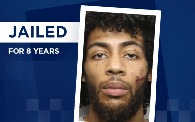 A man armed with a machete who assaulted members of the public has been sentenced